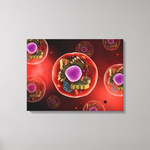 Microscopic View Of Animal Cell 2 Canvas Print