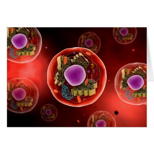Microscopic View Of Animal Cell 2 Cards (Front Horizontal)
