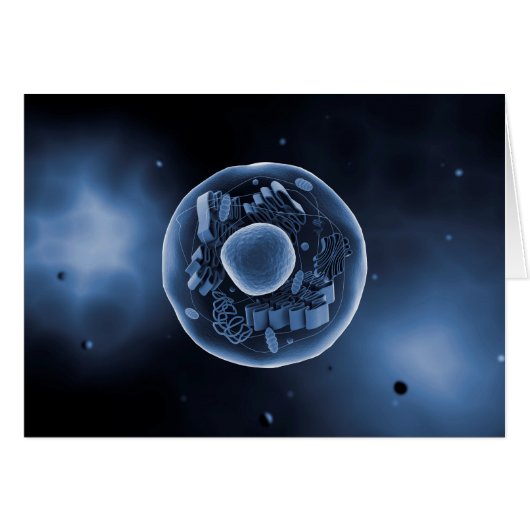 Microscopic View Of Animal Cell 3 Cards (Front Horizontal)