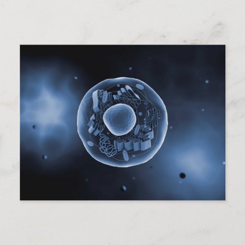 Microscopic View Of Animal Cell 3 Postcard