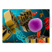 Microscopic View Of Animal Cell Nucleus (Front Horizontal)