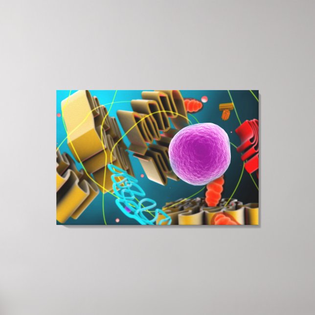 Microscopic View Of Animal Cell Nucleus Canvas Print (Front)