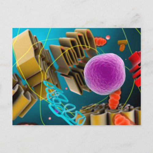 Microscopic View Of Animal Cell Nucleus Postcard