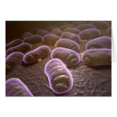 Microscopic view of bacteria (Front Horizontal)