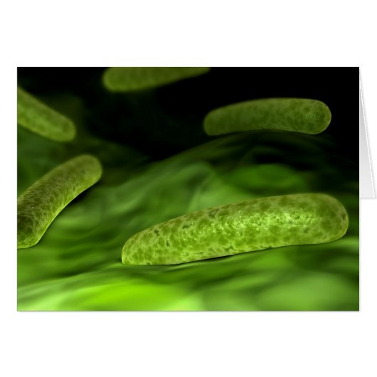 Microscopic View Of Bacteria 1 Cards (Front Horizontal)