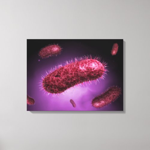 Microscopic View Of Bacteria 2 Canvas Print