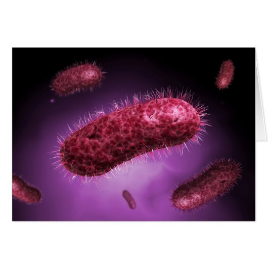 Microscopic View Of Bacteria 2 Cards (Front Horizontal)