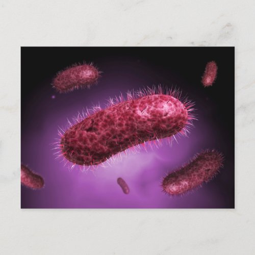 Microscopic View Of Bacteria 2 Postcard