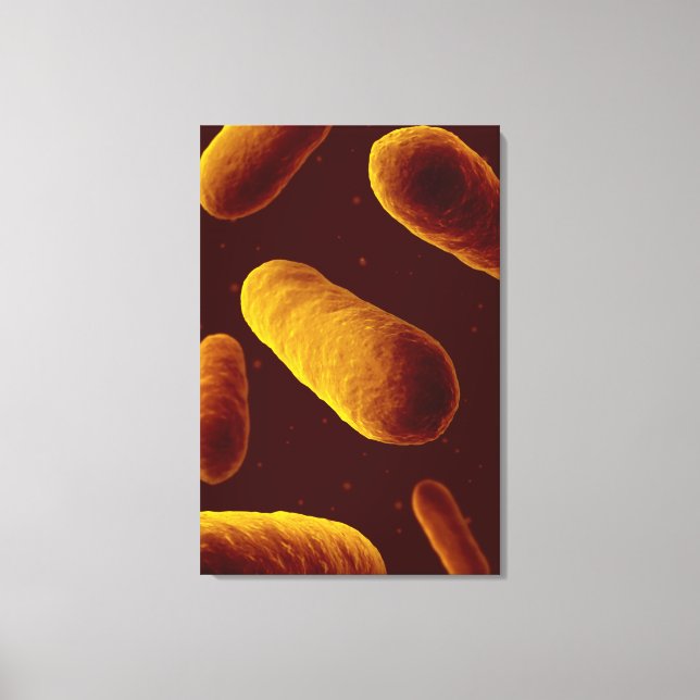 Microscopic View Of Bacteria 3 Canvas Print (Front)