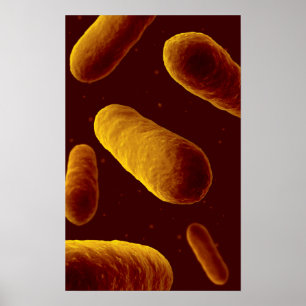 Microscopic View Of Bacteria 3 Poster