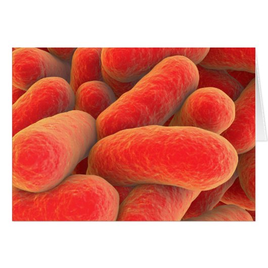 Microscopic View Of Bacteria 4 Cards (Front Horizontal)