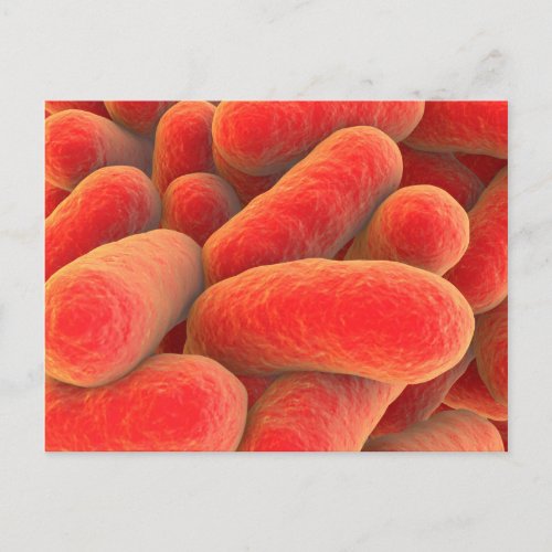 Microscopic View Of Bacteria 4 Postcard