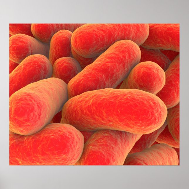 Microscopic View Of Bacteria 4 Poster (Front)