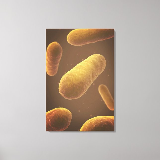Microscopic View Of Bacteria 5 Canvas Print (Front)