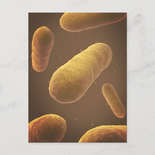 Microscopic View Of Bacteria 5 Postcard