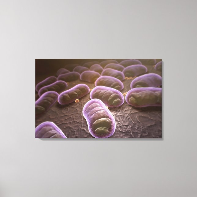 Microscopic view of bacteria canvas print (Front)