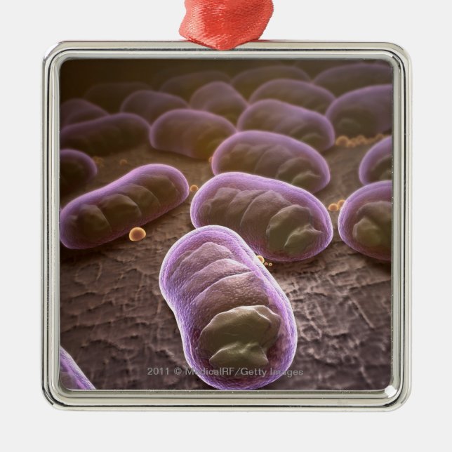Microscopic view of bacteria metal ornament (Front)