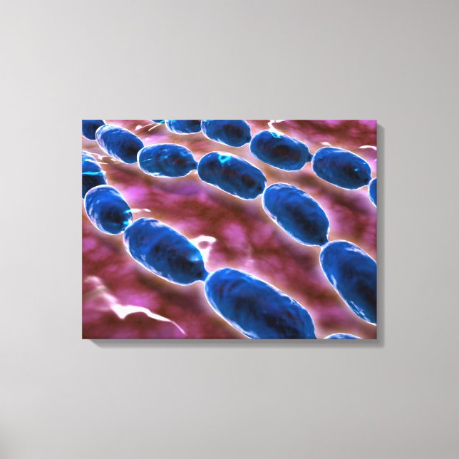 Microscopic View Of Bacterial Pneumonia 1 Canvas Print (Front)