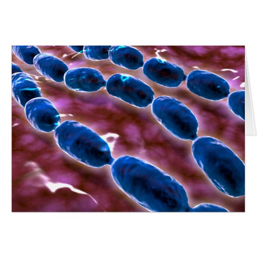 Microscopic View Of Bacterial Pneumonia 1 Cards (Front Horizontal)
