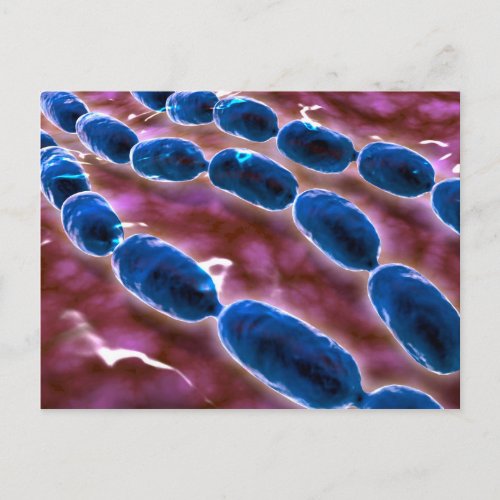 Microscopic View Of Bacterial Pneumonia 1 Postcard