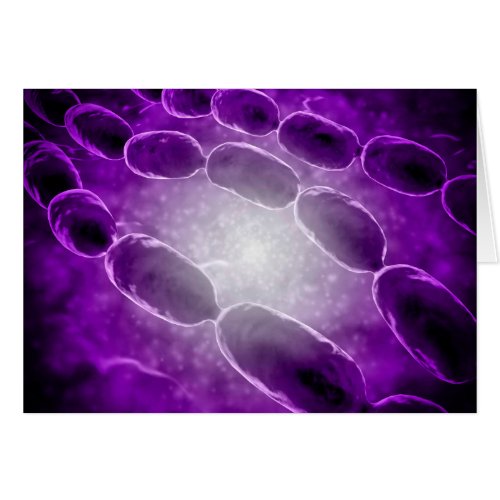 Microscopic View Of Bacterial Pneumonia 2