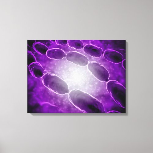 Microscopic View Of Bacterial Pneumonia 2 Canvas Print