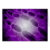 Microscopic View Of Bacterial Pneumonia 2 Cards (Front Horizontal)