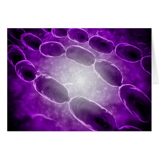 Microscopic View Of Bacterial Pneumonia 2 Cards (Front Horizontal)
