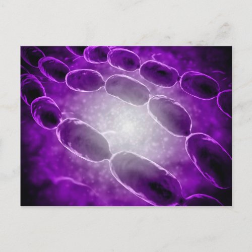 Microscopic View Of Bacterial Pneumonia 2 Postcard