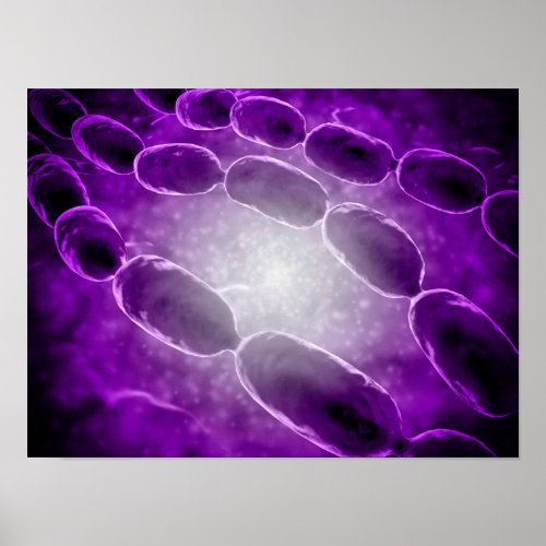 Microscopic View Of Bacterial Pneumonia 2 Poster