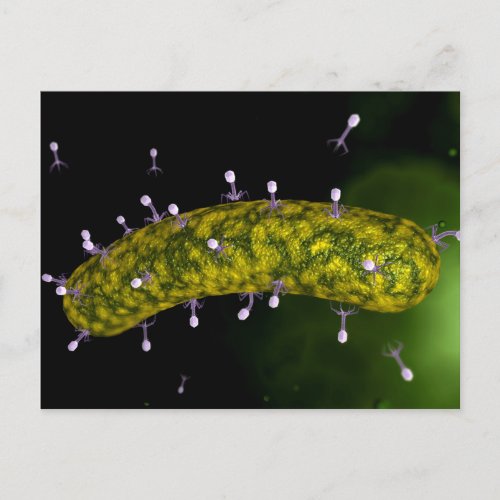 Microscopic View Of Bacteriophage Attacking Postcard