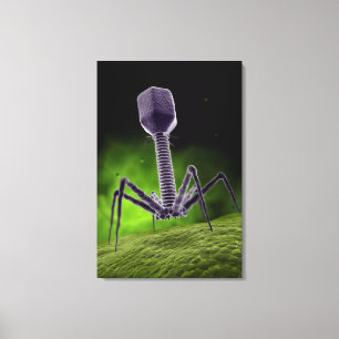 Microscopic View Of Bacteriophage Canvas Print