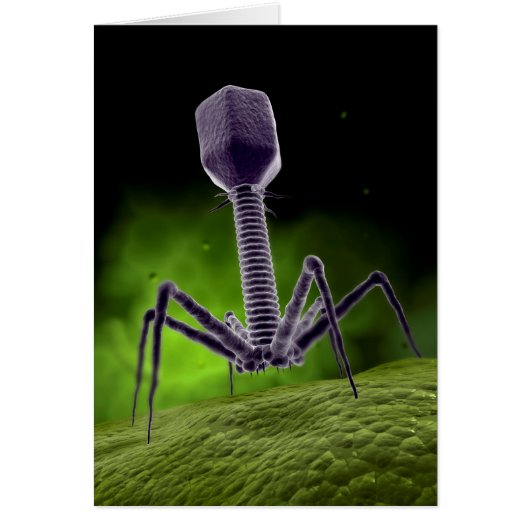 Microscopic View Of Bacteriophage Cards (Front)