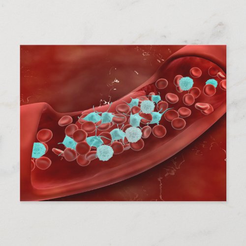 Microscopic View Of Blood Clotting Postcard