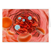 Microscopic View Of Blood Flow Inside An Artery (Front Horizontal)