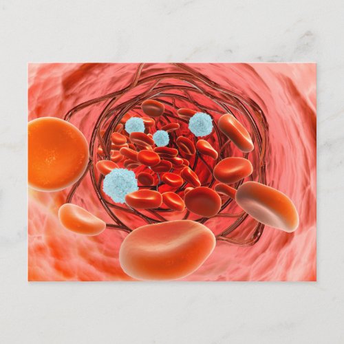 Microscopic View Of Blood Flow Inside An Artery Postcard