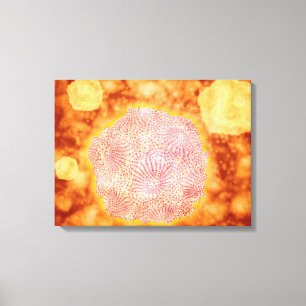 Microscopic View Of Canine Parvovirus 1 Canvas Print