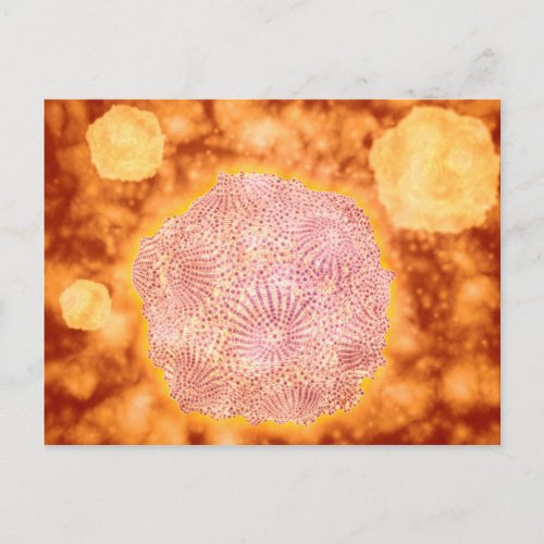 Microscopic View Of Canine Parvovirus 1 Postcard