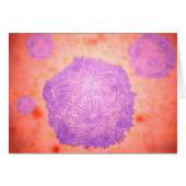 Microscopic View Of Canine Parvovirus 2 (Front Horizontal)