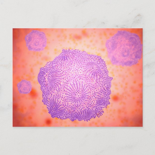 Microscopic View Of Canine Parvovirus 2 Postcard (Front)
