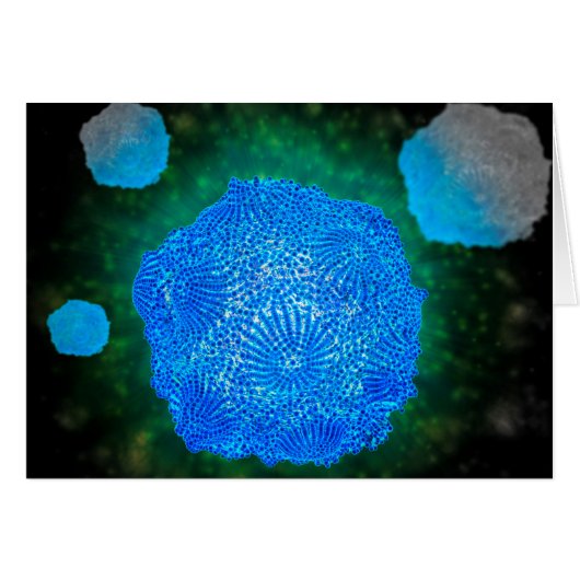 Microscopic View Of Canine Parvovirus 3 Cards (Front Horizontal)