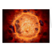 Microscopic View Of Canine Parvovirus 4 (Front Horizontal)