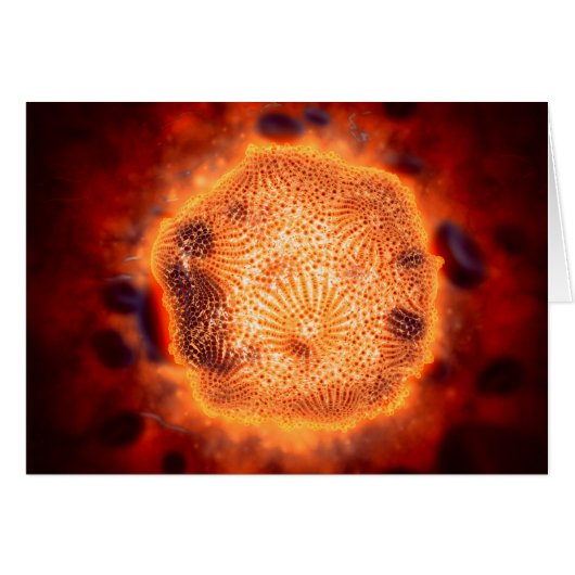 Microscopic View Of Canine Parvovirus 4 Cards (Front Horizontal)