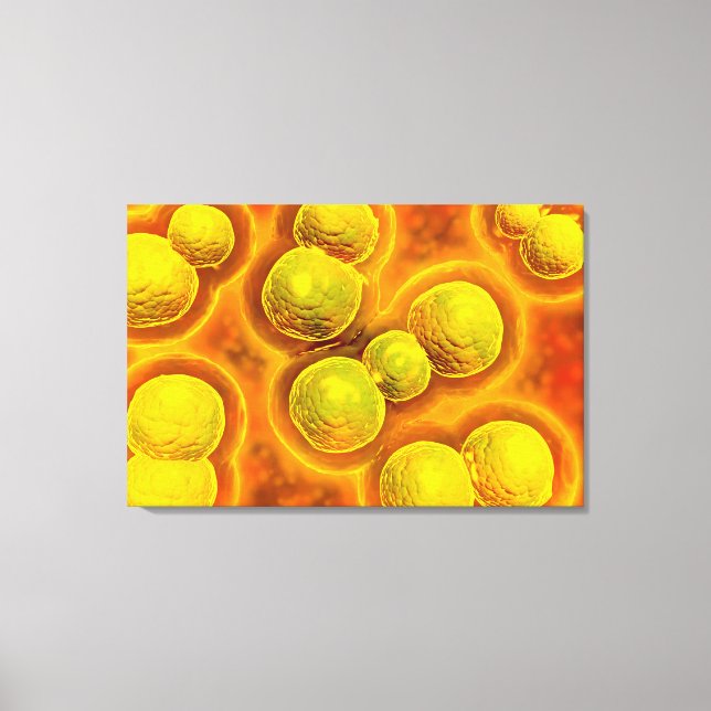 Microscopic View Of Chlamydia Canvas Print (Front)