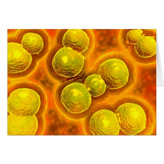 Microscopic View Of Chlamydia Cards (Front Horizontal)