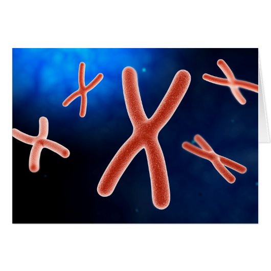 Microscopic View Of Chromosome 1 Cards (Front Horizontal)