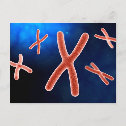 Microscopic View Of Chromosome 1 Postcard