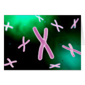 Microscopic View Of Chromosome 2 (Front Horizontal)
