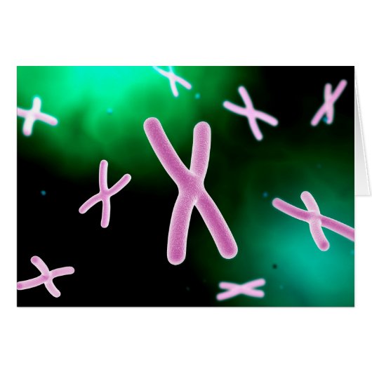 Microscopic View Of Chromosome 2 Cards (Front Horizontal)