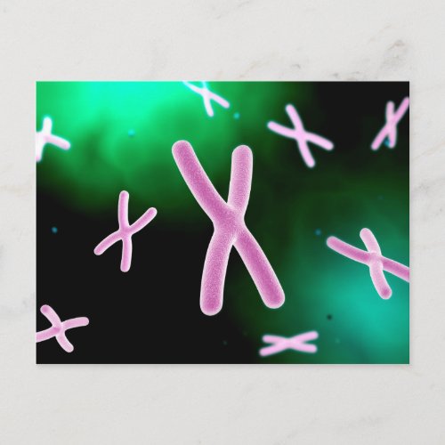 Microscopic View Of Chromosome 2 Postcard